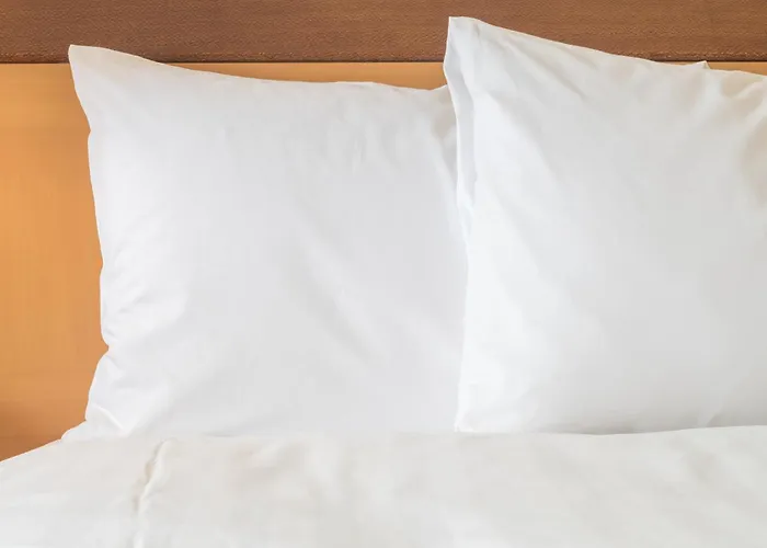 Hotel Blmgtn Arpt South - Mall Area By Ihg 3*